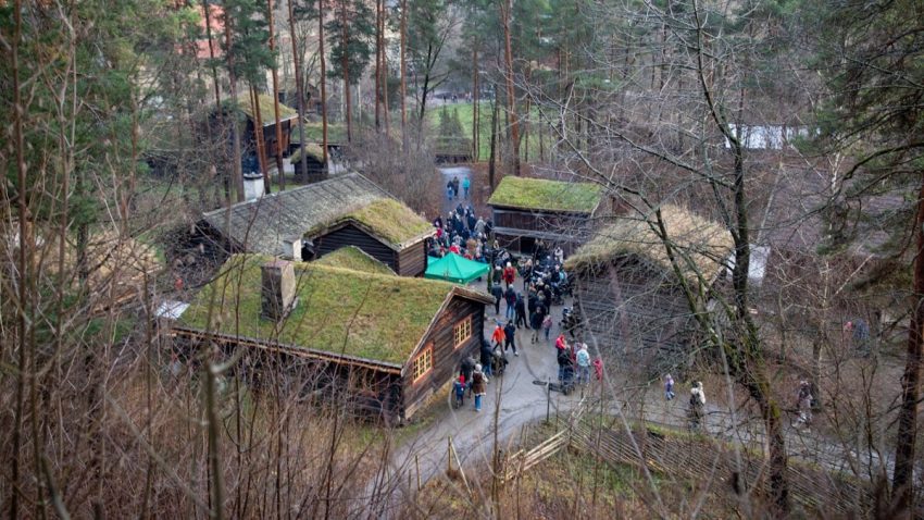 A group of people standing outside of a forest